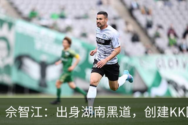 佘智江：出身湖南黑道，创建KK园区，他表哥成大佬司机娶小燕子